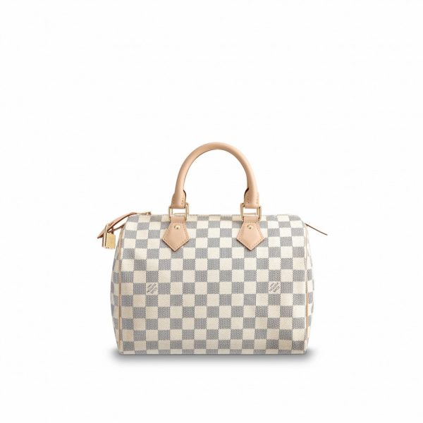 Louis Vuitton Speedy 25 N41371