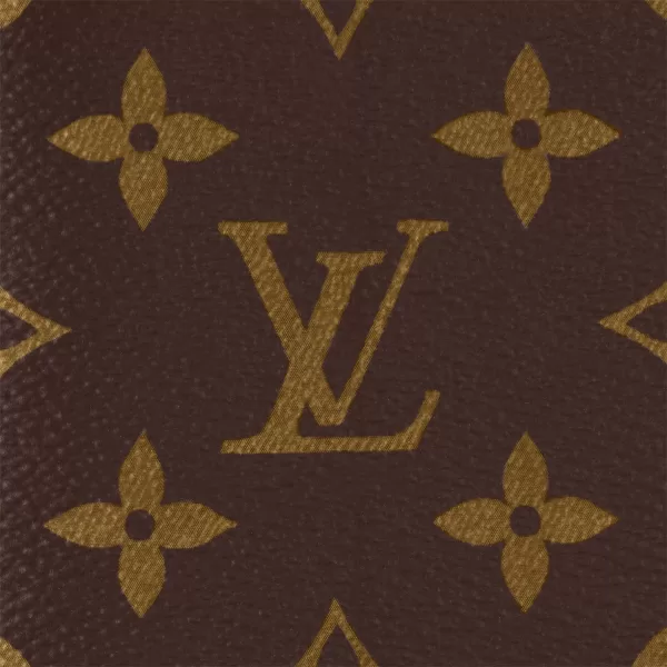 Louis Vuitton Brazza Wallet M66540