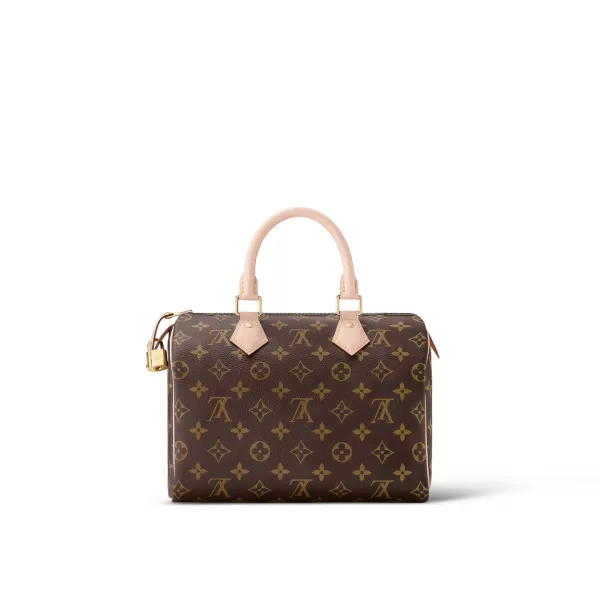 Louis Vuitton Speedy 25 M41109