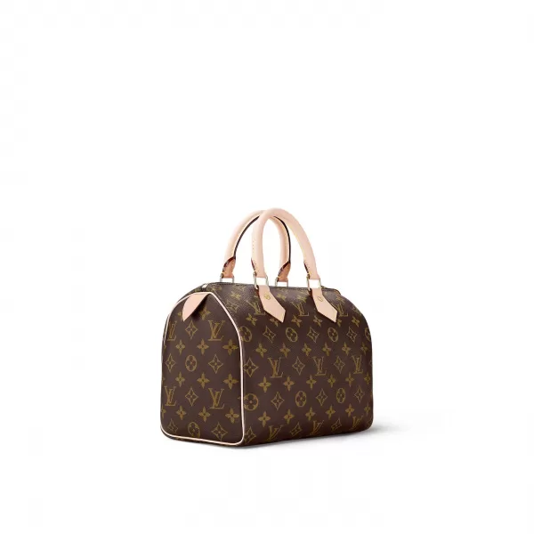 Louis Vuitton Speedy 25 M41109