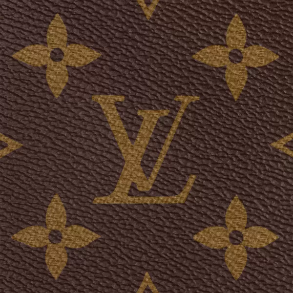 Louis Vuitton Speedy Bandouliere 25 M41113