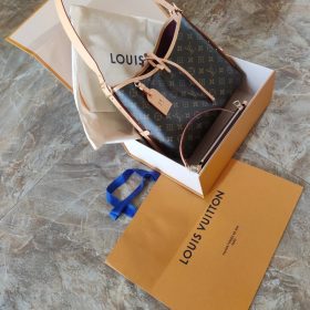 Louis Vuitton M46203 CarryAll PM photo review