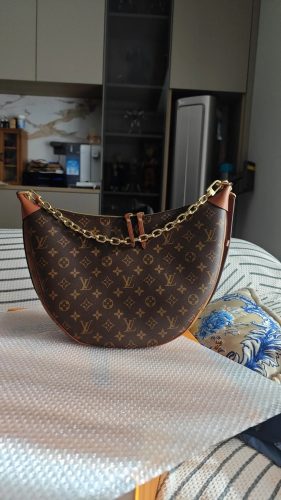 Louis Vuitton M46311 Loop Hobo Monogram photo review